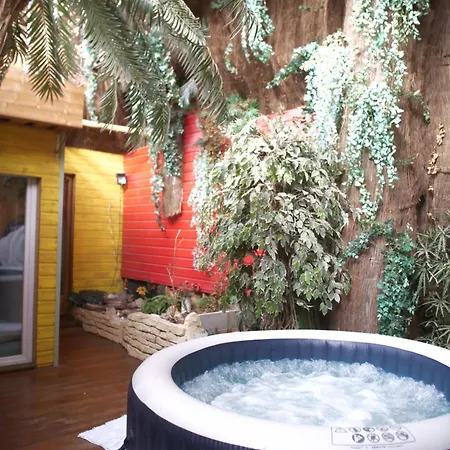 Maison De Village, Jacuzzi, Salle Cinema